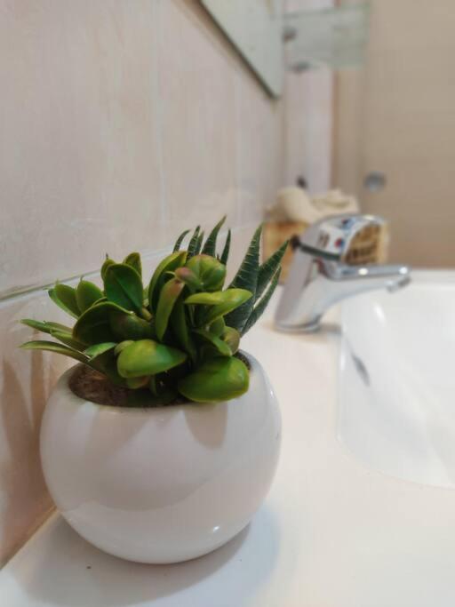 Ross House Apartment Фиумичино Екстериор снимка